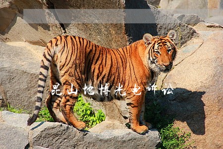 昆山地博光电诉讼 昆山地博光电诉讼