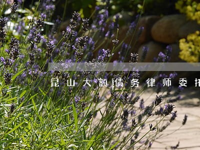 昆山大额债务律师委托咨询 昆山大额债务律师委托咨询