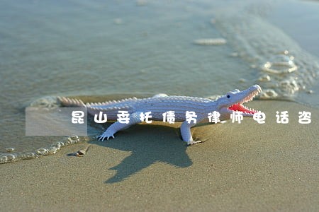 昆山委托债务律师电话咨询 昆山委托债务律师电话咨询