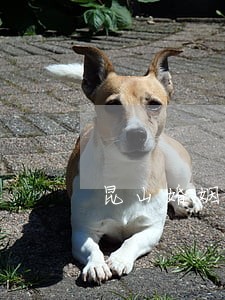 昆山婚姻律师详情咨询 昆山婚姻律师详情咨询
