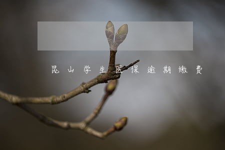 昆山学生医保逾期缴费 昆山学生医保逾期缴费