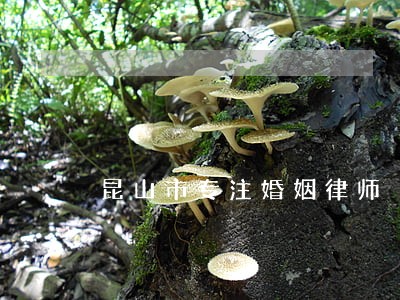 昆山市专注婚姻律师 昆山市专注婚姻律师
