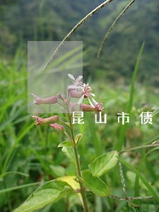 昆山市债务合同律师收费标准