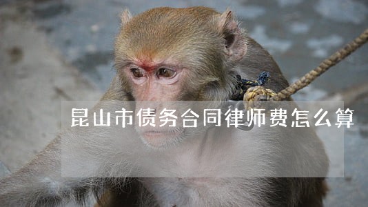 昆山市债务合同律师费怎么算 昆山市债务合同律师费怎么算