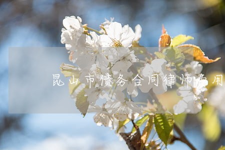 昆山市债务合同律师费用 昆山市债务合同律师费用