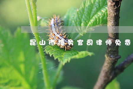 昆山市债务官司律师免费咨询 昆山市债务官司律师免费咨询