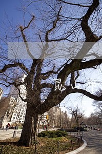 昆山市债务官司律师哪个好 昆山市债务官司律师哪个好