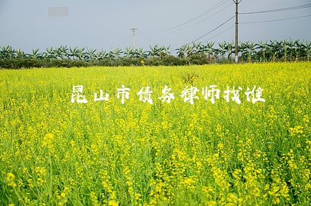 昆山市债务律师找谁 昆山市债务律师找谁