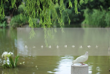昆山市债务律师选哪个 昆山市债务律师选哪个