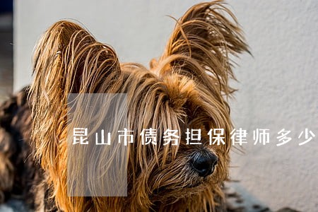 昆山市债务担保律师多少钱 昆山市债务担保律师多少钱