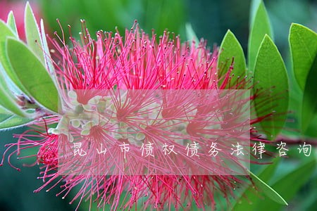 昆山市债权债务法律咨询 昆山市债权债务法律咨询