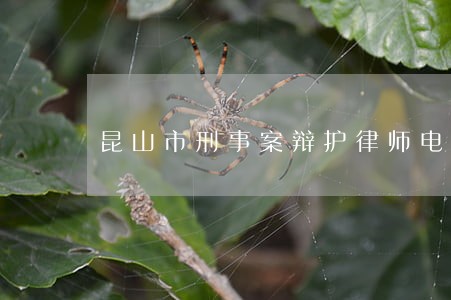 昆山市刑事案辩护律师电话咨询 昆山市刑事案辩护律师电话咨询