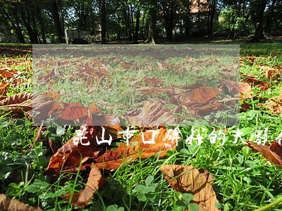昆山市口碑好的大额债务律师 昆山市口碑好的大额债务律师
