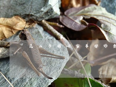 昆山市婚姻家事律师费用标准 昆山市婚姻家事律师费用标准