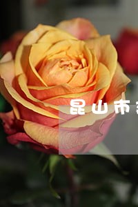 昆山市建筑房产律师咨询电话 昆山市建筑房产律师咨询电话