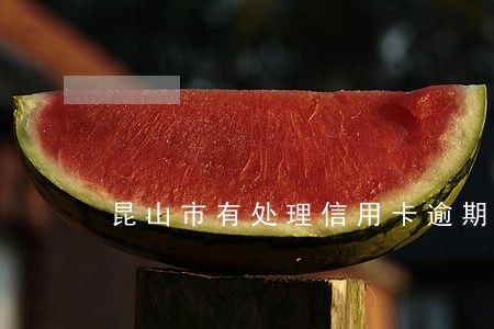 昆山市有处理信用卡逾期的吗 昆山市有处理信用卡逾期的吗