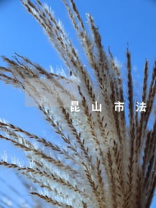 昆山市法律援助中心变更 昆山市法律援助中心变更