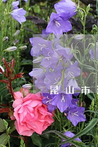 昆山市法律援助热线电话 昆山市法律援助热线电话