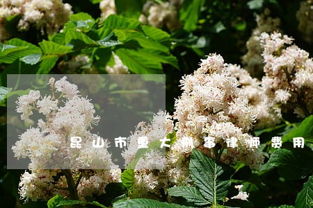 昆山市重大刑事律师费用标准 昆山市重大刑事律师费用标准