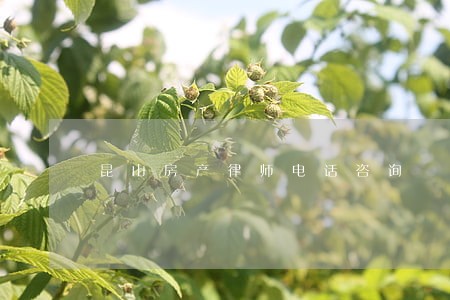 昆山房产律师电话咨询 昆山房产律师电话咨询