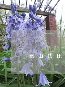昆山找比较好的婚姻律师委托流程 昆山找比较好的婚姻律师委托流程