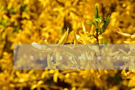 昆山找离婚律师怎么委托 昆山找离婚律师怎么委托