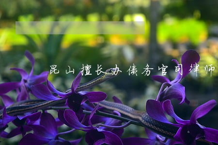 昆山擅长办债务官司律师 昆山擅长办债务官司律师