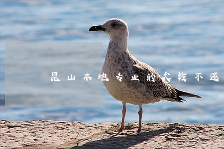 昆山本地专业的欠钱不还案律师 昆山本地专业的欠钱不还案律师