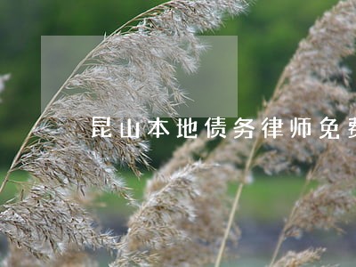 昆山本地债务律师免费咨询 昆山本地债务律师免费咨询