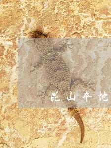 昆山本地债务担保律师多少钱 昆山本地债务担保律师多少钱