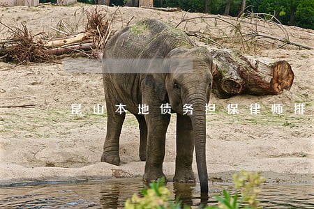 昆山本地债务担保律师排名 昆山本地债务担保律师排名