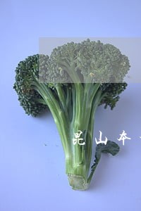 昆山本地债务担保律师电话咨询 昆山本地债务担保律师电话咨询