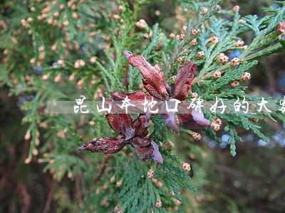 昆山本地口碑好的大额债务律师 昆山本地口碑好的大额债务律师