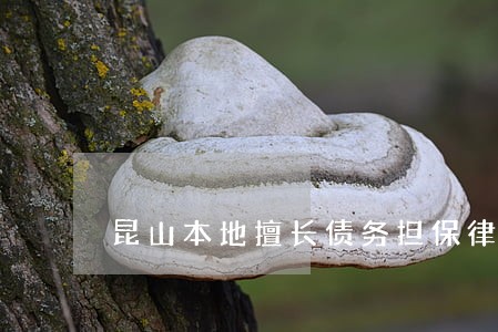 昆山本地擅长债务担保律师排名 昆山本地擅长债务担保律师排名