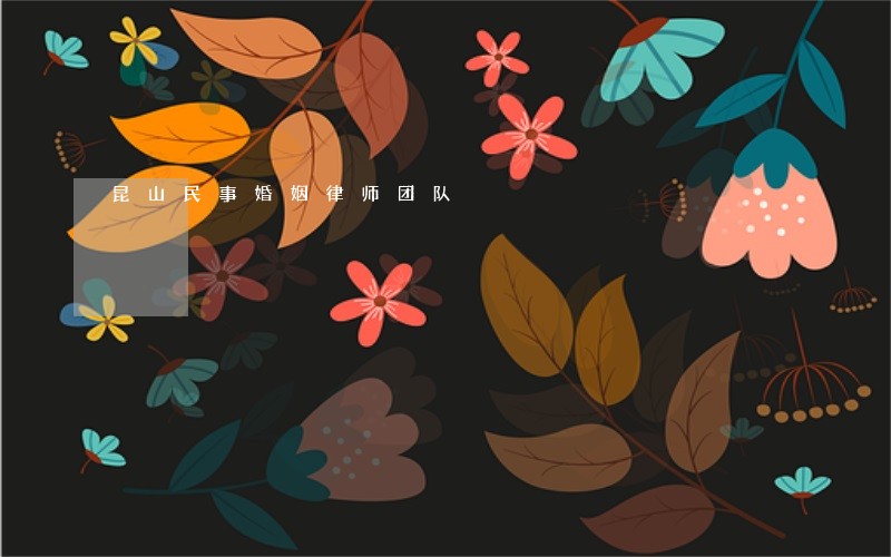 昆山民事婚姻律师团队 昆山民事婚姻律师团队