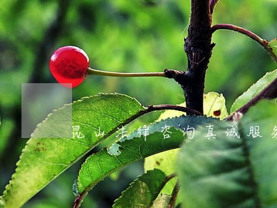 昆山法律咨询真诚服务 昆山法律咨询真诚服务