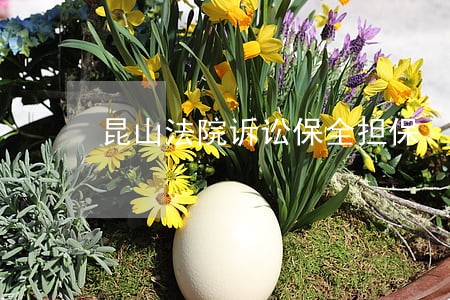 昆山法院诉讼保全担保 昆山法院诉讼保全担保
