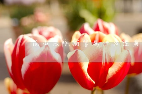 昆山法院辅警属什么性质 昆山法院辅警属什么性质