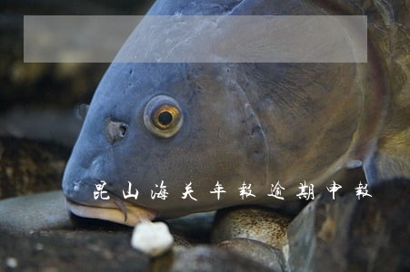 昆山海关年报逾期申报 昆山海关年报逾期申报