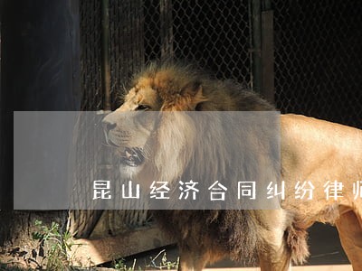 昆山经济合同纠纷律师咨询 昆山经济合同纠纷律师咨询