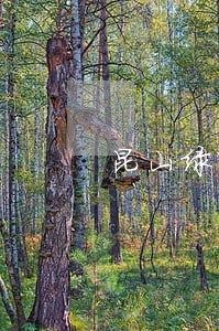 昆山绿中海 昆山绿中海