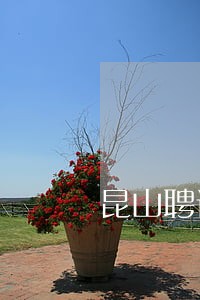 昆山聘请债权债务合同律师