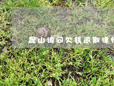 昆山询问欠钱逾期律师费用 昆山询问欠钱逾期律师费用