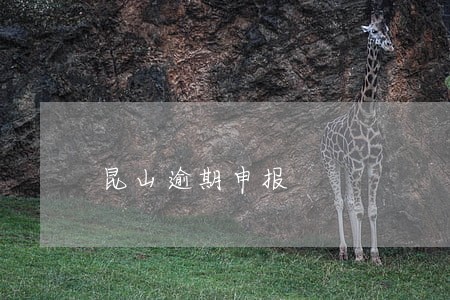 昆山逾期申报 昆山逾期申报
