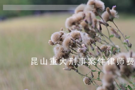 昆山重大刑事案件律师费用标准 昆山重大刑事案件律师费用标准