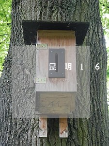 昆明1610d违法代码 昆明1610d违法代码