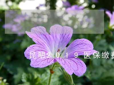 昆明2019医保缴费逾期 昆明2019医保缴费逾期