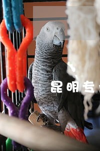 昆明专业刑事案件律师咨询热线 昆明专业刑事案件律师咨询热线