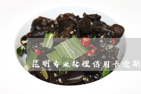 昆明专业处理信用卡逾期律师 昆明专业处理信用卡逾期律师