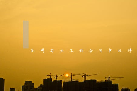 昆明专业工程合同争议律师电话